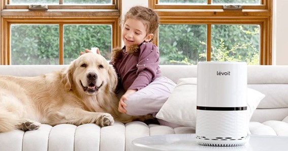 how to reset levoit air purifier