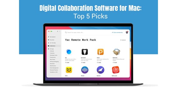 Digital Collaboration Software for Mac: Top 5 Picks