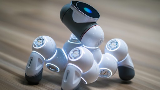 The Intersection Of Robotics And AI